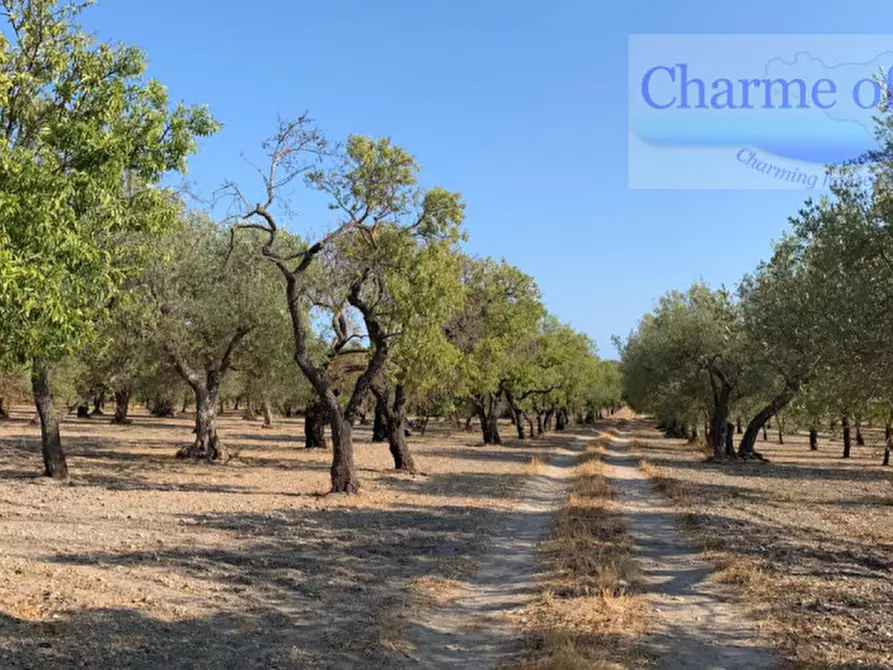 Immagine 15 di Rustico / casale in vendita  in Contrada Bonivini a Noto