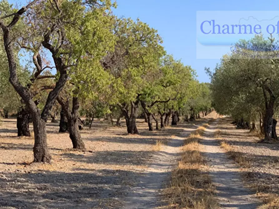 Immagine 17 di Rustico / casale in vendita  in Contrada Bonivini a Noto