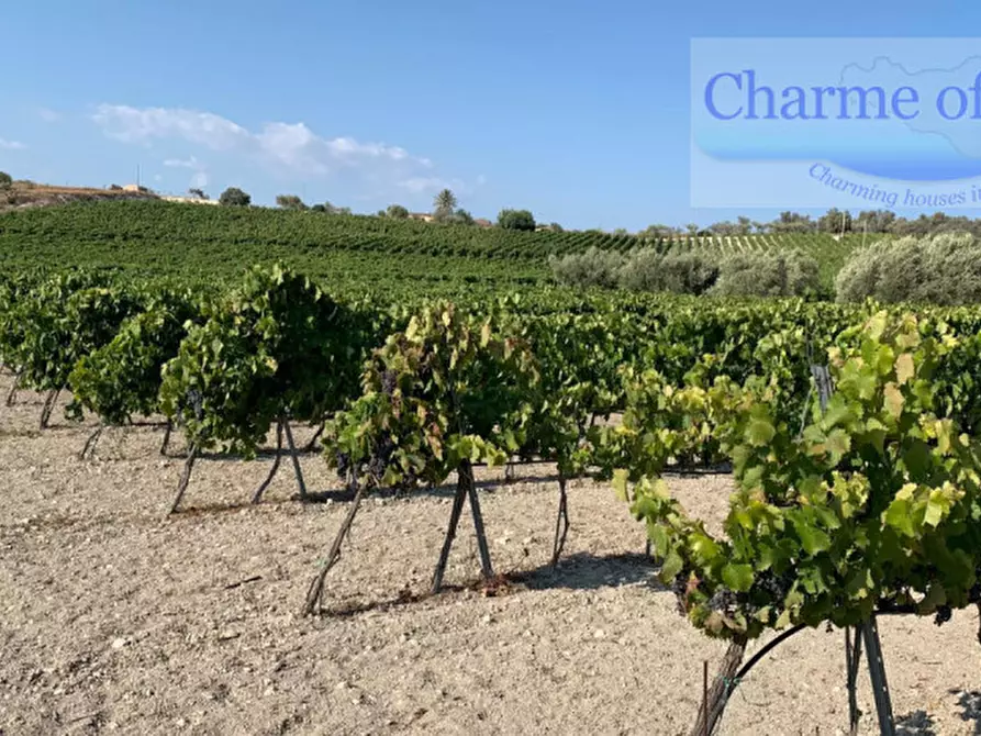 Immagine 18 di Rustico / casale in vendita  in Contrada Bonivini a Noto