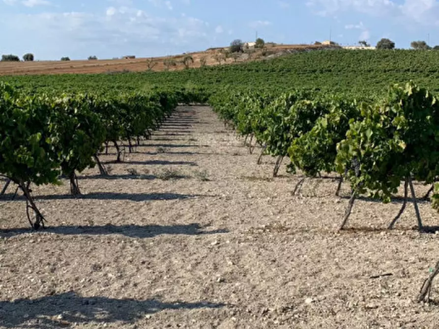 Immagine 20 di Rustico / casale in vendita  in Contrada Bonivini a Noto