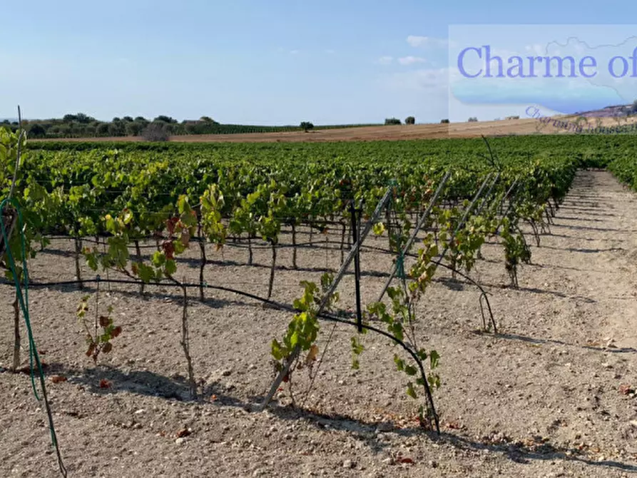 Immagine 21 di Rustico / casale in vendita  in Contrada Bonivini a Noto