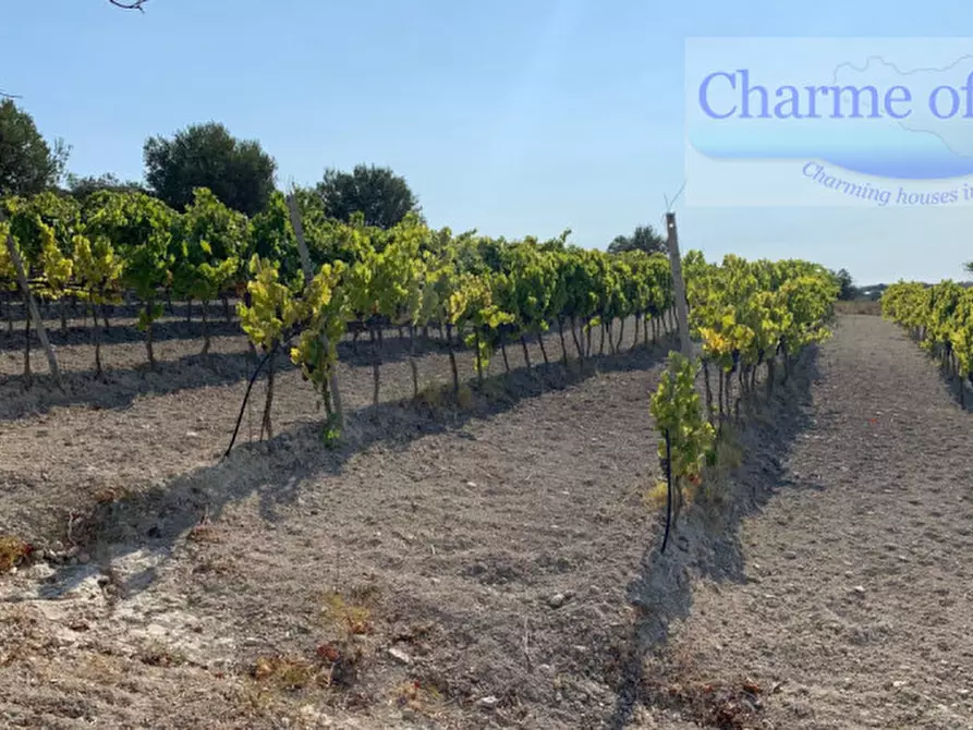 Immagine 22 di Rustico / casale in vendita  in Contrada Bonivini a Noto