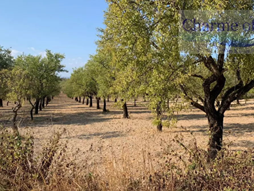 Immagine 23 di Rustico / casale in vendita  in Contrada Bonivini a Noto