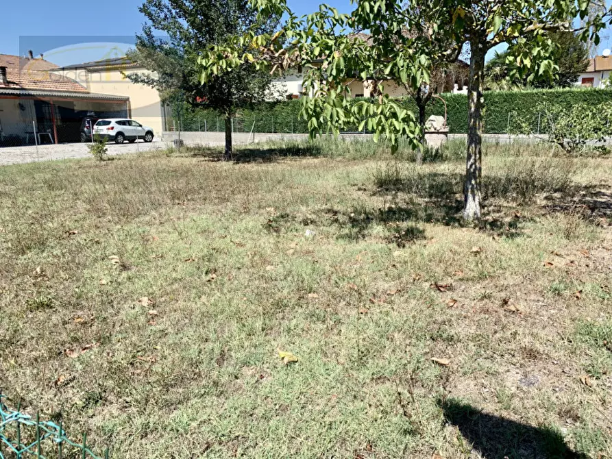 Immagine 2 di Terreno in vendita  in Via Viola a Molinella