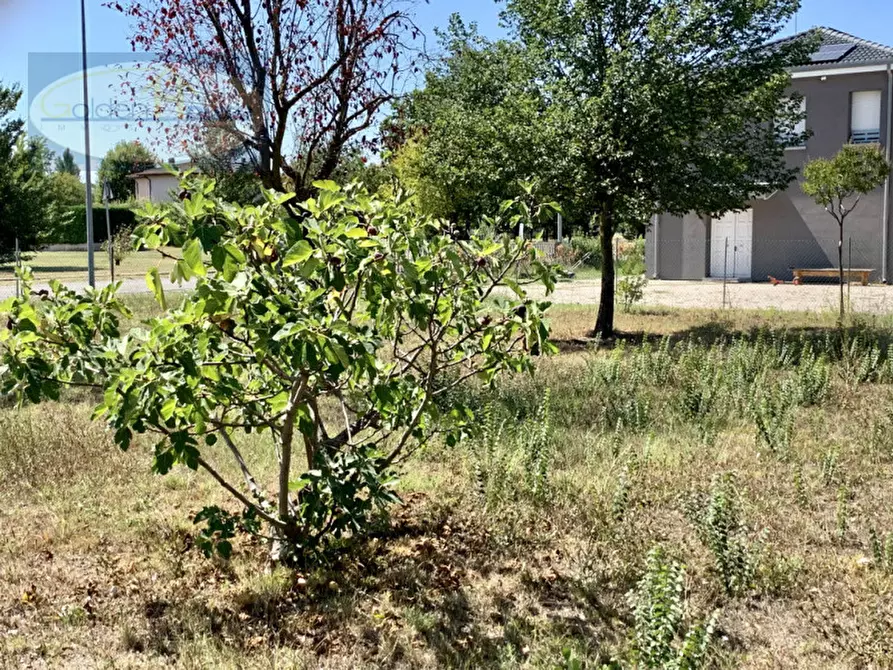 Immagine 3 di Terreno in vendita  in Via Viola a Molinella