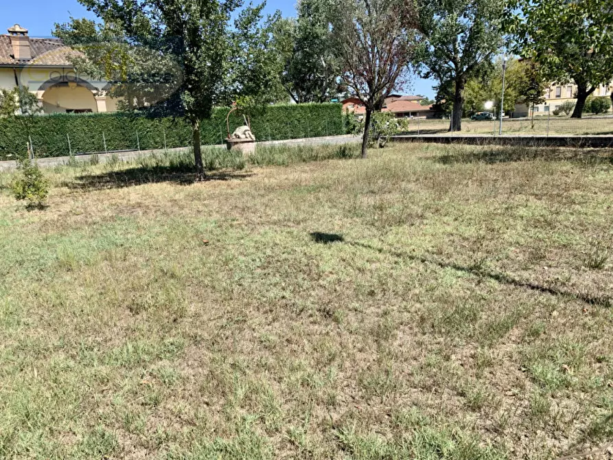 Immagine 4 di Terreno in vendita  in Via Viola a Molinella