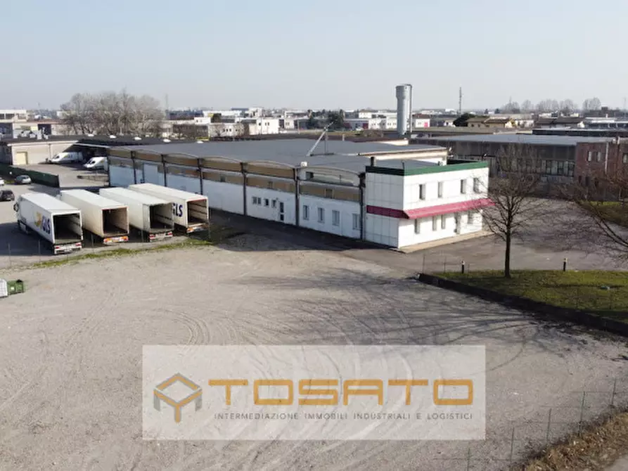 Immagine 12 di Capannone industriale in vendita  a Cerea