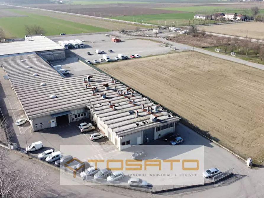 Immagine 14 di Capannone industriale in vendita  a Cerea