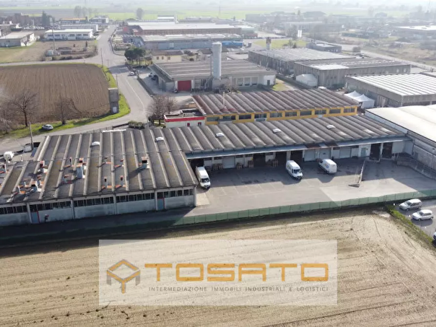 Immagine 15 di Capannone industriale in vendita  a Cerea