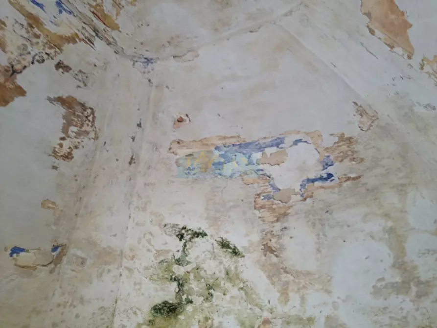 Immagine 5 di Rustico / casale in vendita  in Contrada Montagnulo a Ceglie Messapico