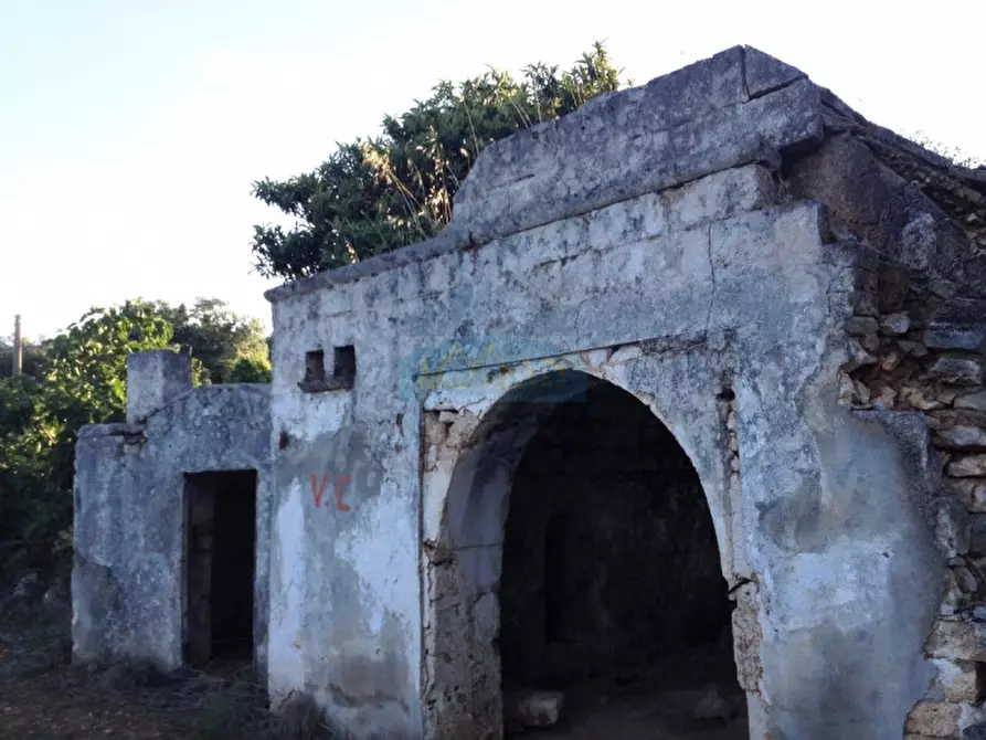 Immagine 10 di Rustico / casale in vendita  in Contrada Montagnulo a Ceglie Messapico