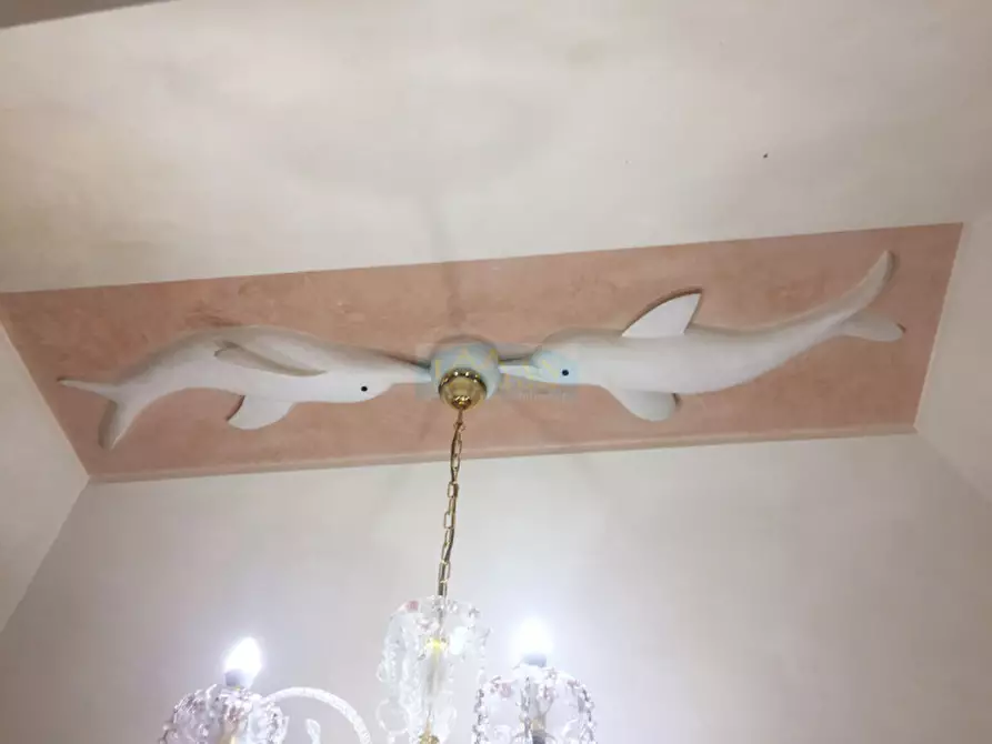 Immagine 9 di Multiproprietà in vendita  in Via Crispi a Ceglie Messapico