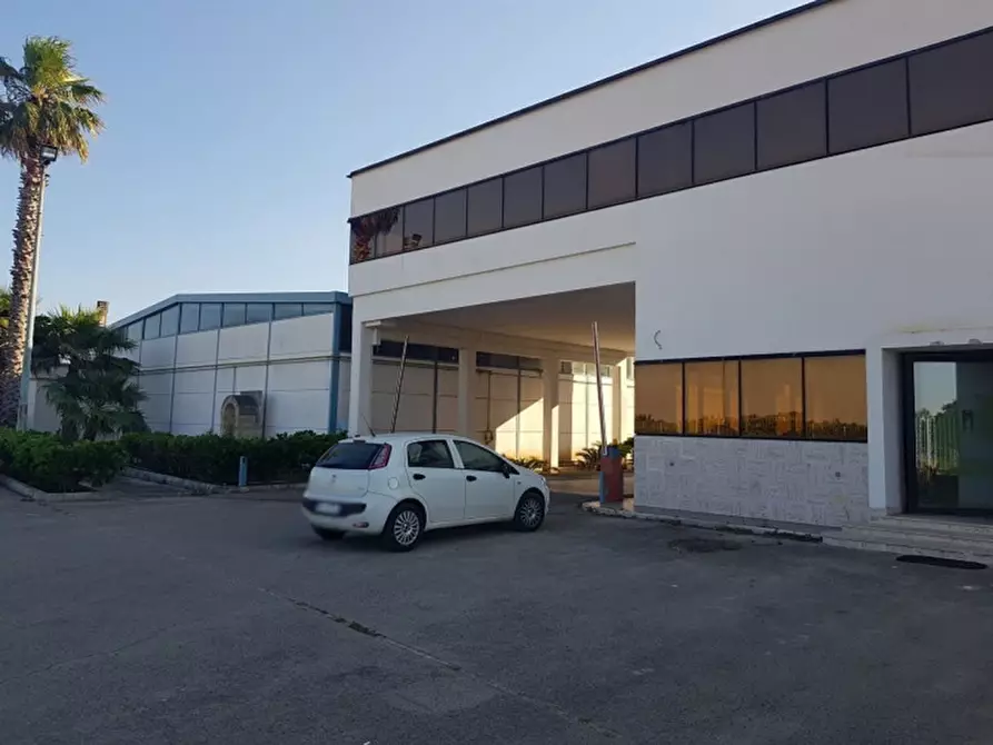 Immagine 1 di Capannone industriale in vendita  in Via Campi, N. snc a San Donaci