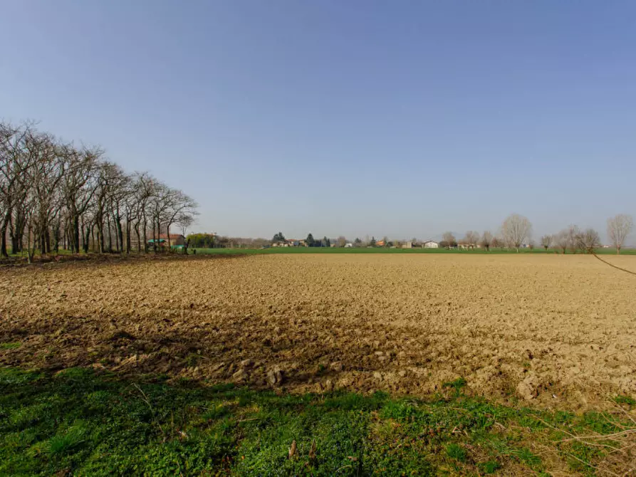 Immagine 1 di Terreno in vendita  a Boara Pisani