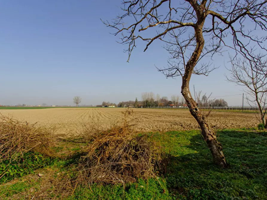 Immagine 2 di Terreno in vendita  a Boara Pisani