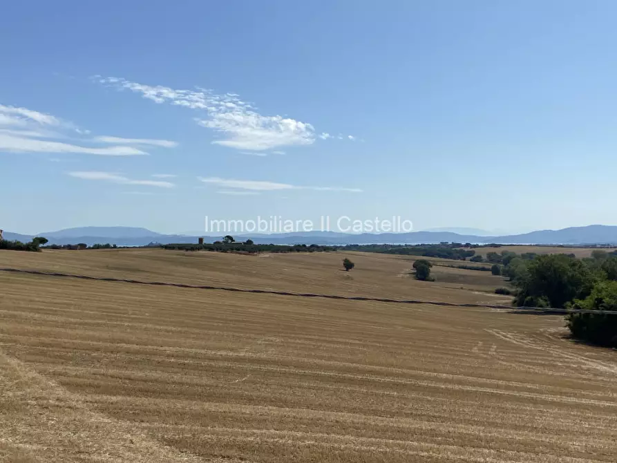 Immagine 14 di Appartamento in vendita  in località Fornace a Castiglione Del Lago
