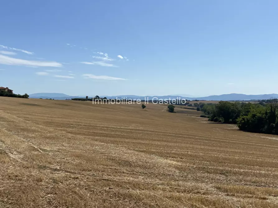 Immagine 16 di Appartamento in vendita  in località Fornace a Castiglione Del Lago