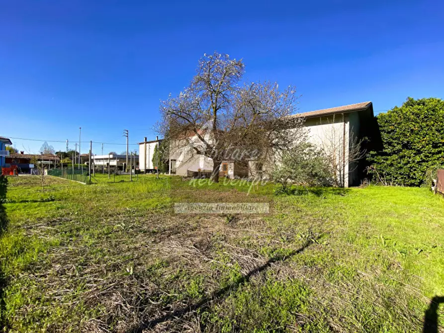 Immagine 2 di Rustico / casale in vendita  in Tombolo a Tombolo