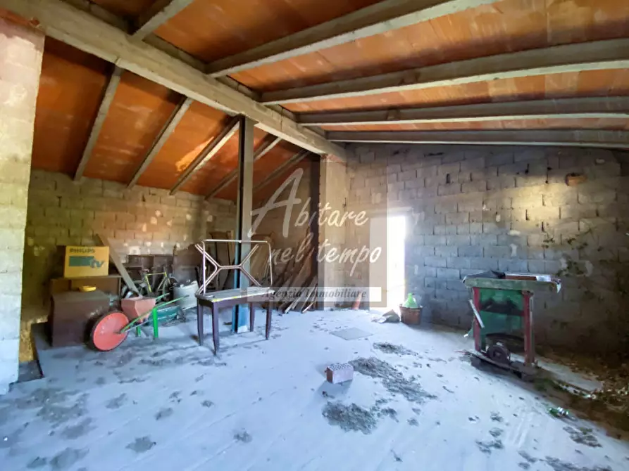 Immagine 4 di Rustico / casale in vendita  in Tombolo a Tombolo