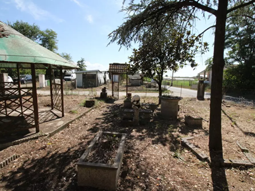 Immagine 5 di Villetta a schiera in vendita  in Via Bassafonda, 122 a Rosolina