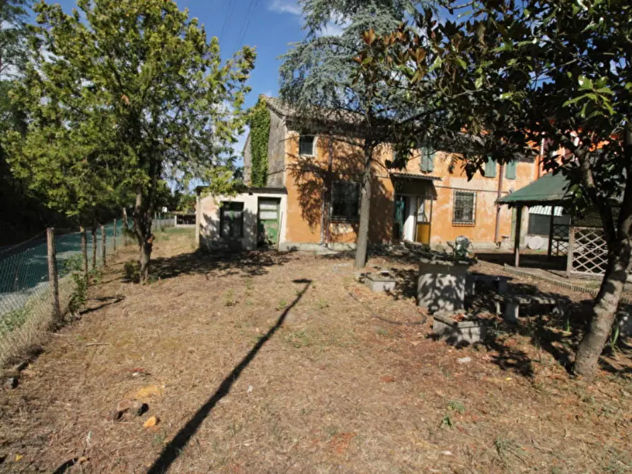 Immagine 11 di Villetta a schiera in vendita  in Via Bassafonda, 122 a Rosolina