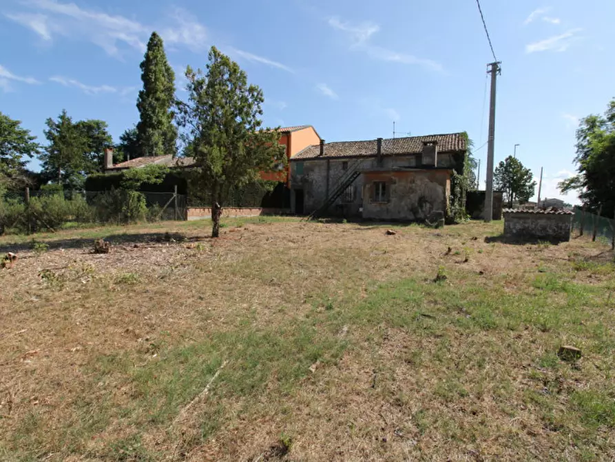 Immagine 19 di Villetta a schiera in vendita  in Via Bassafonda, 122 a Rosolina