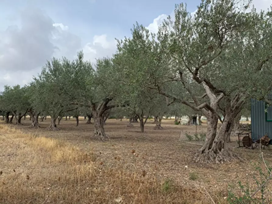 Immagine 1 di Terreno in vendita  in Contrada Montesano a Modica