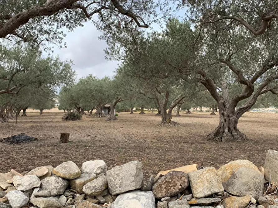 Immagine 2 di Terreno in vendita  in Contrada Montesano a Modica