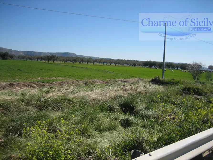 Immagine 4 di Terreno in vendita  in Contrada Montesano a Modica