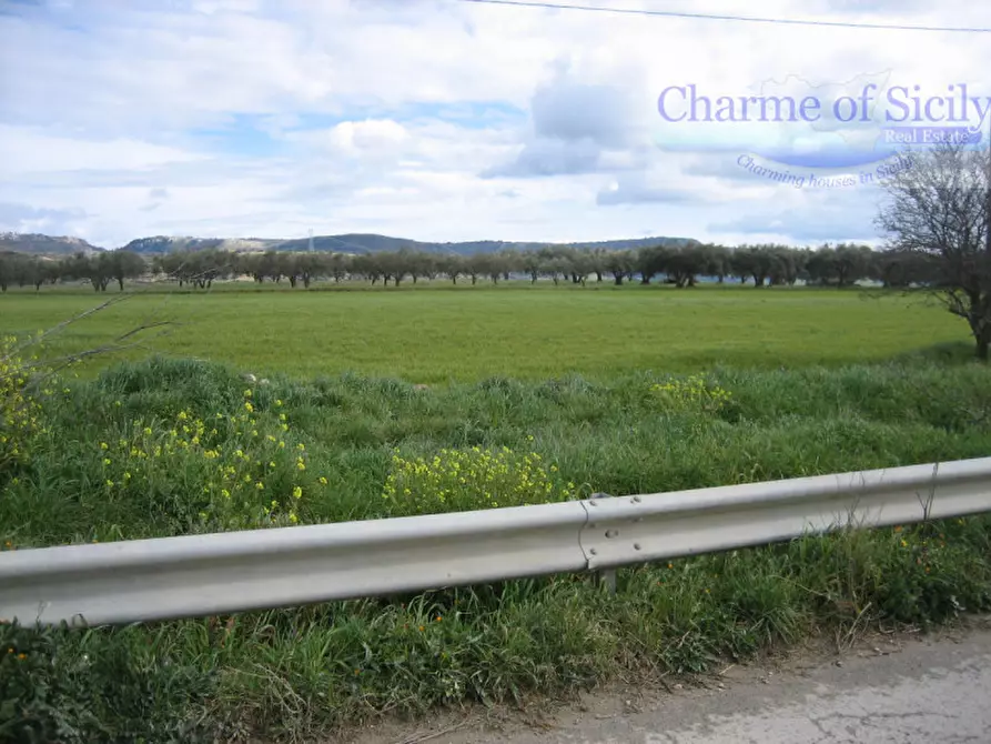 Immagine 5 di Terreno in vendita  in Contrada Montesano a Modica