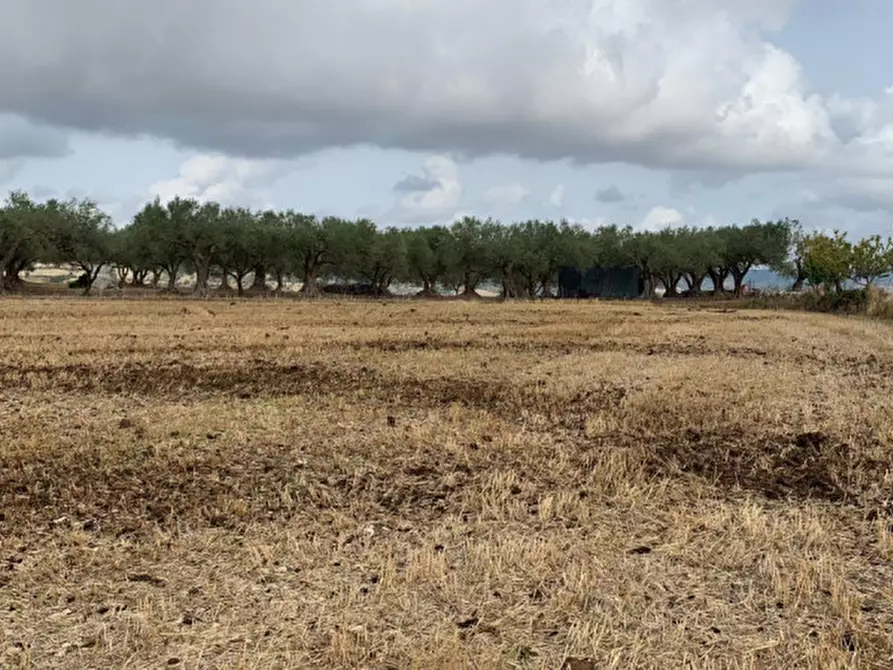 Immagine 6 di Terreno in vendita  in Contrada Montesano a Modica