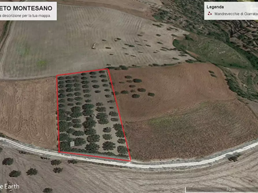 Immagine 9 di Terreno in vendita  in Contrada Montesano a Modica