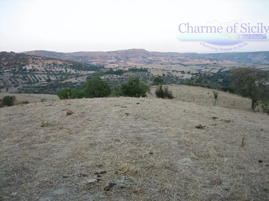 Immagine 3 di Terreno in vendita  in Contrada Montesano a Giarratana