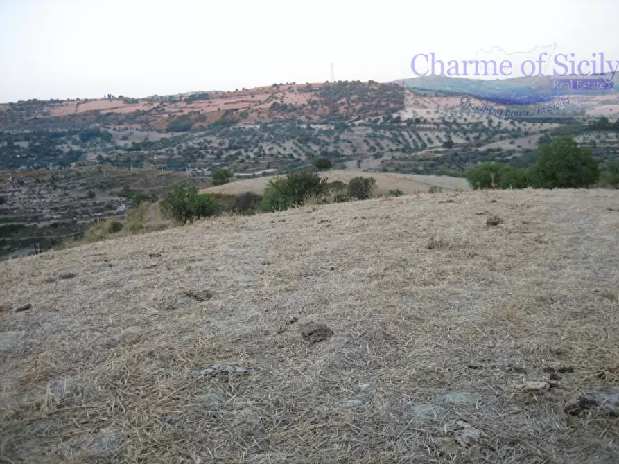 Immagine 4 di Terreno in vendita  in Contrada Montesano a Giarratana