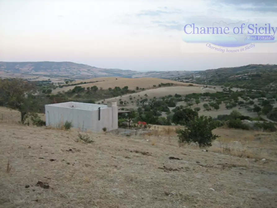 Immagine 7 di Terreno in vendita  in Contrada Montesano a Giarratana