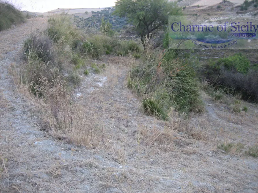 Immagine 7 di Terreno in vendita  in Contrada Montesano a Giarratana