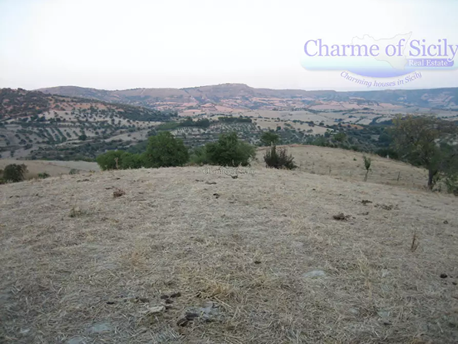 Immagine 8 di Terreno in vendita  in Contrada Montesano a Giarratana