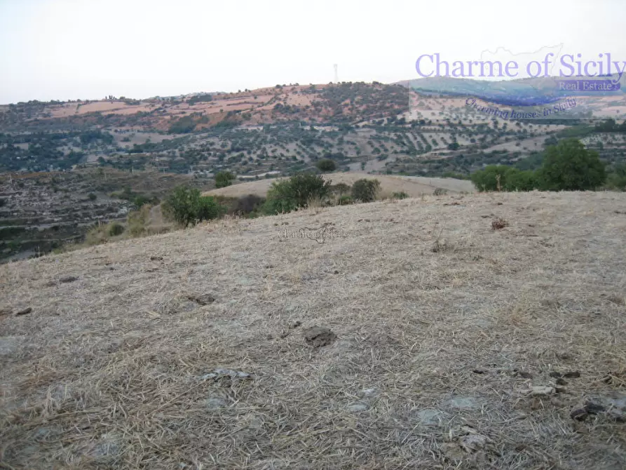 Immagine 9 di Terreno in vendita  in Contrada Montesano a Giarratana