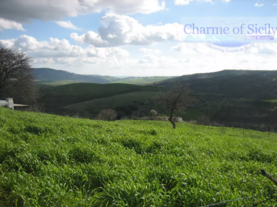 Immagine 9 di Terreno in vendita  in Contrada Montesano a Giarratana
