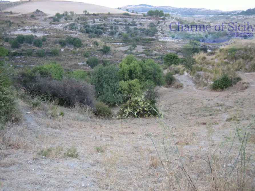 Immagine 11 di Terreno in vendita  in Contrada Montesano a Giarratana