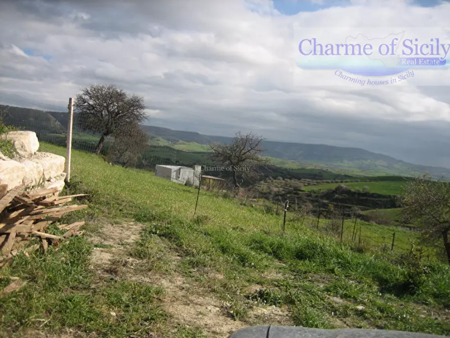 Immagine 15 di Terreno in vendita  in Contrada Montesano a Giarratana