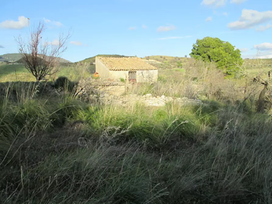 Immagine 15 di Casa indipendente in vendita  in Contrada Puzzo a Ragusa