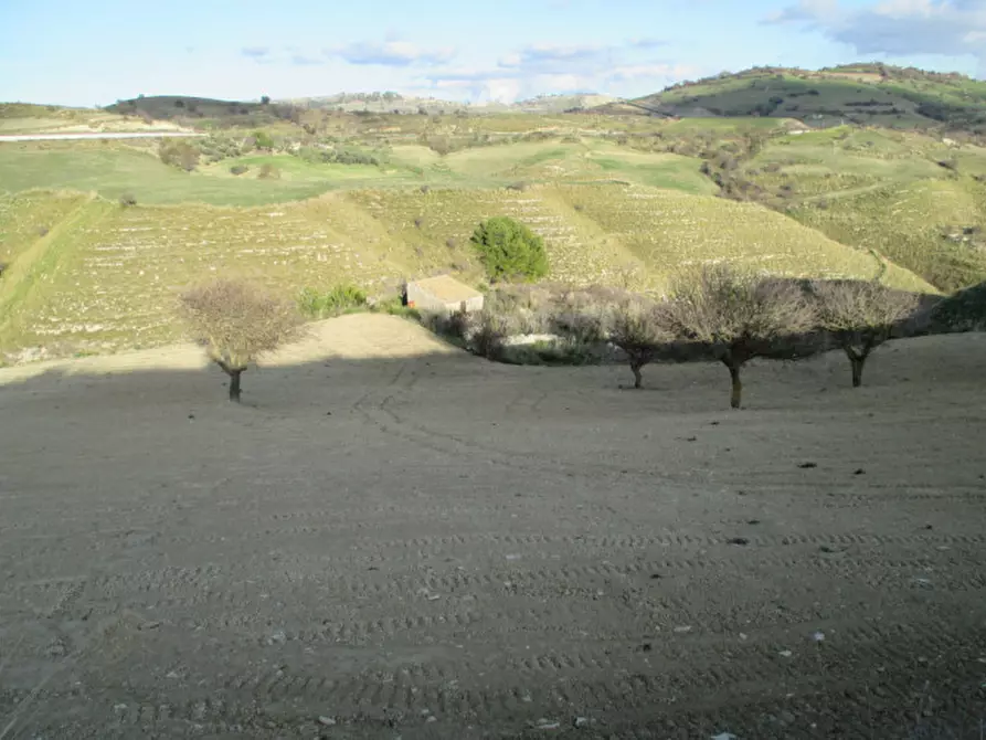 Immagine 19 di Casa indipendente in vendita  in Contrada Puzzo a Ragusa