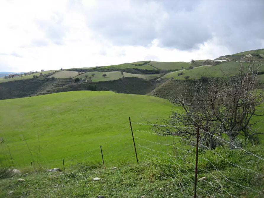 Immagine 20 di Casa indipendente in vendita  in Contrada Puzzo a Ragusa