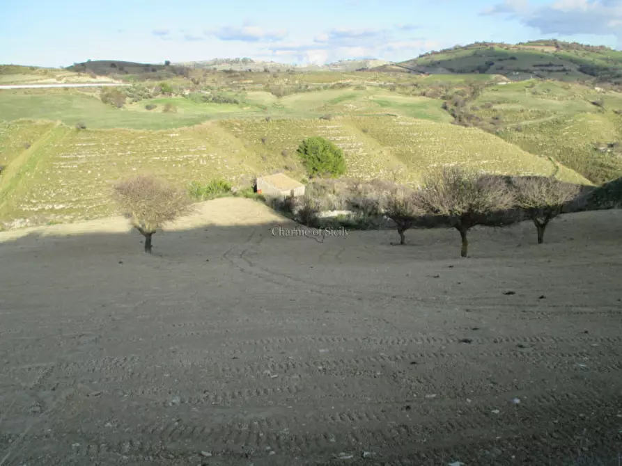 Immagine 24 di Casa indipendente in vendita  in Contrada Puzzo a Ragusa