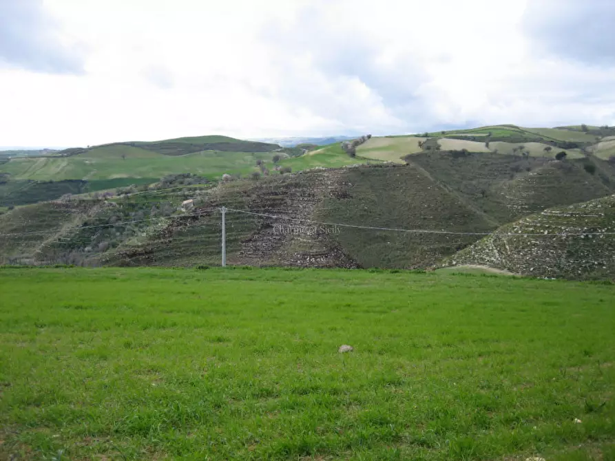 Immagine 26 di Casa indipendente in vendita  in Contrada Puzzo a Ragusa