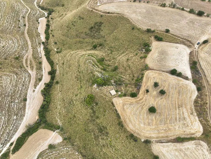 Immagine 36 di Casa indipendente in vendita  in Contrada Puzzo a Ragusa