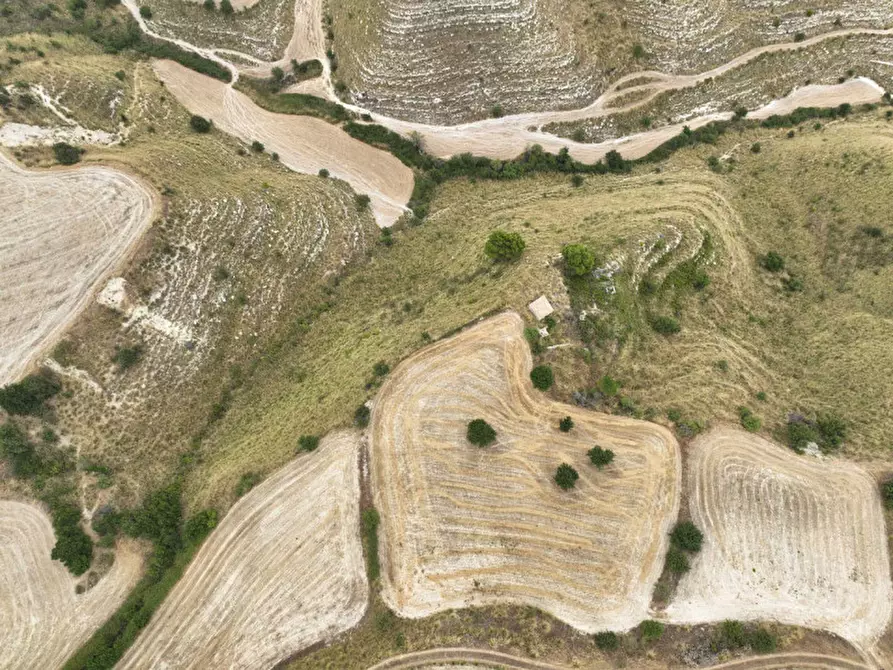 Immagine 37 di Casa indipendente in vendita  in Contrada Puzzo a Ragusa