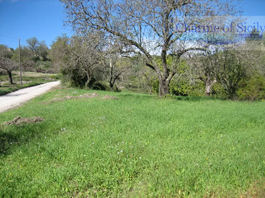 Immagine 1 di Terreno in vendita  in Contrada Montesano a Modica