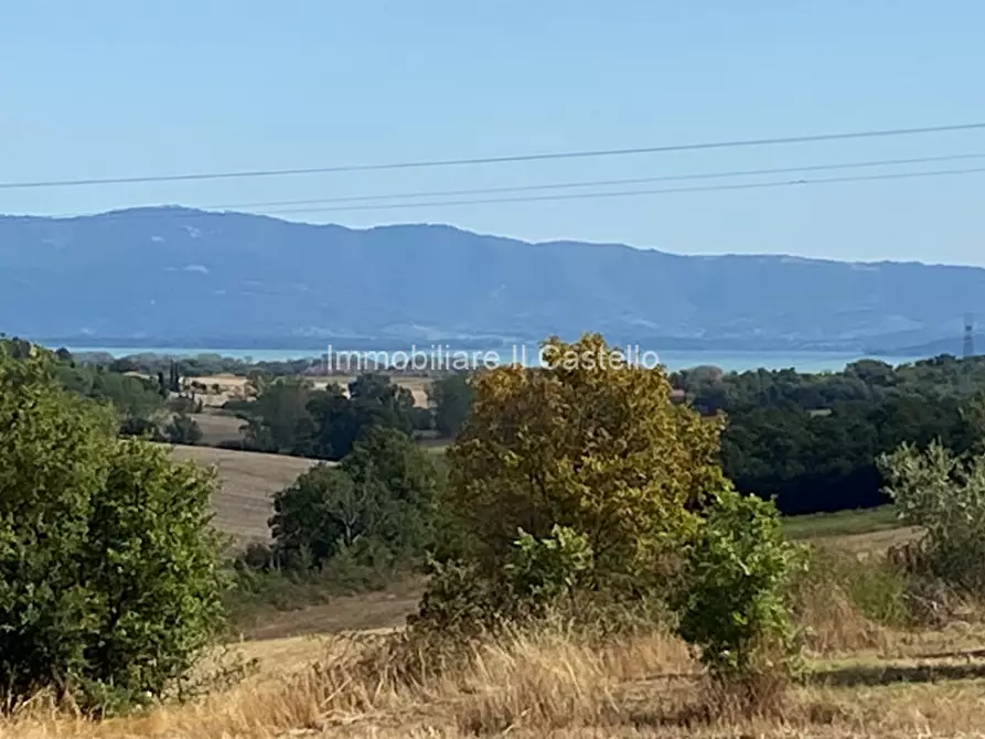 Immagine 2 di Rustico / casale in vendita  in casamaggiore a Castiglione Del Lago